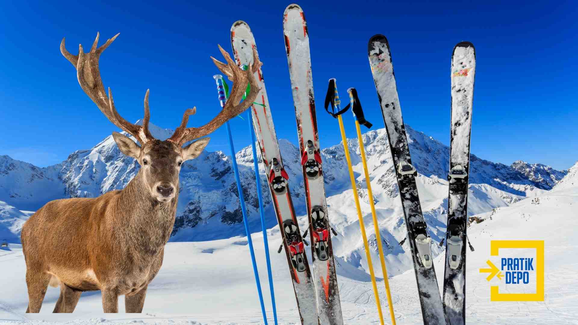 +1 Oda İle Kış Sporlarının Keyfini Çıkarın!