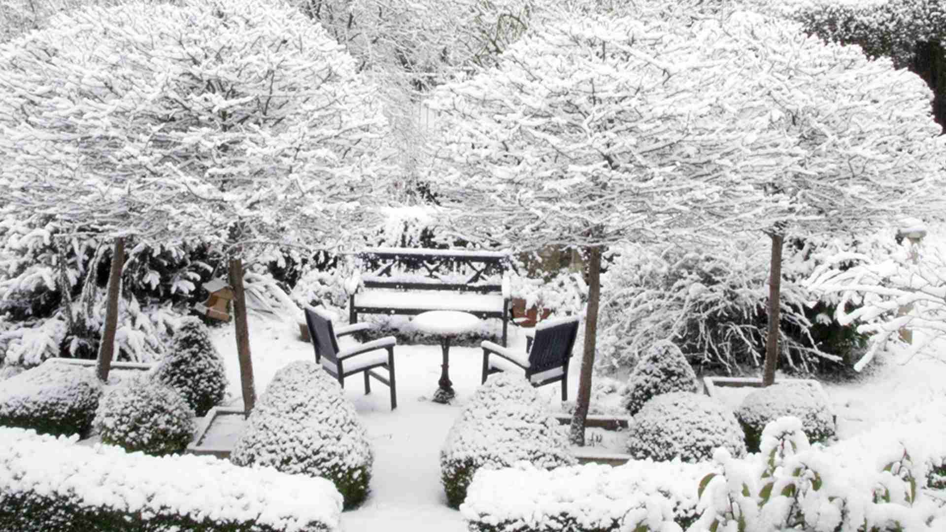 Bahçe Dekorasyonu; Bahçenizi Kışa Hazırlamanın Vakti Geldi