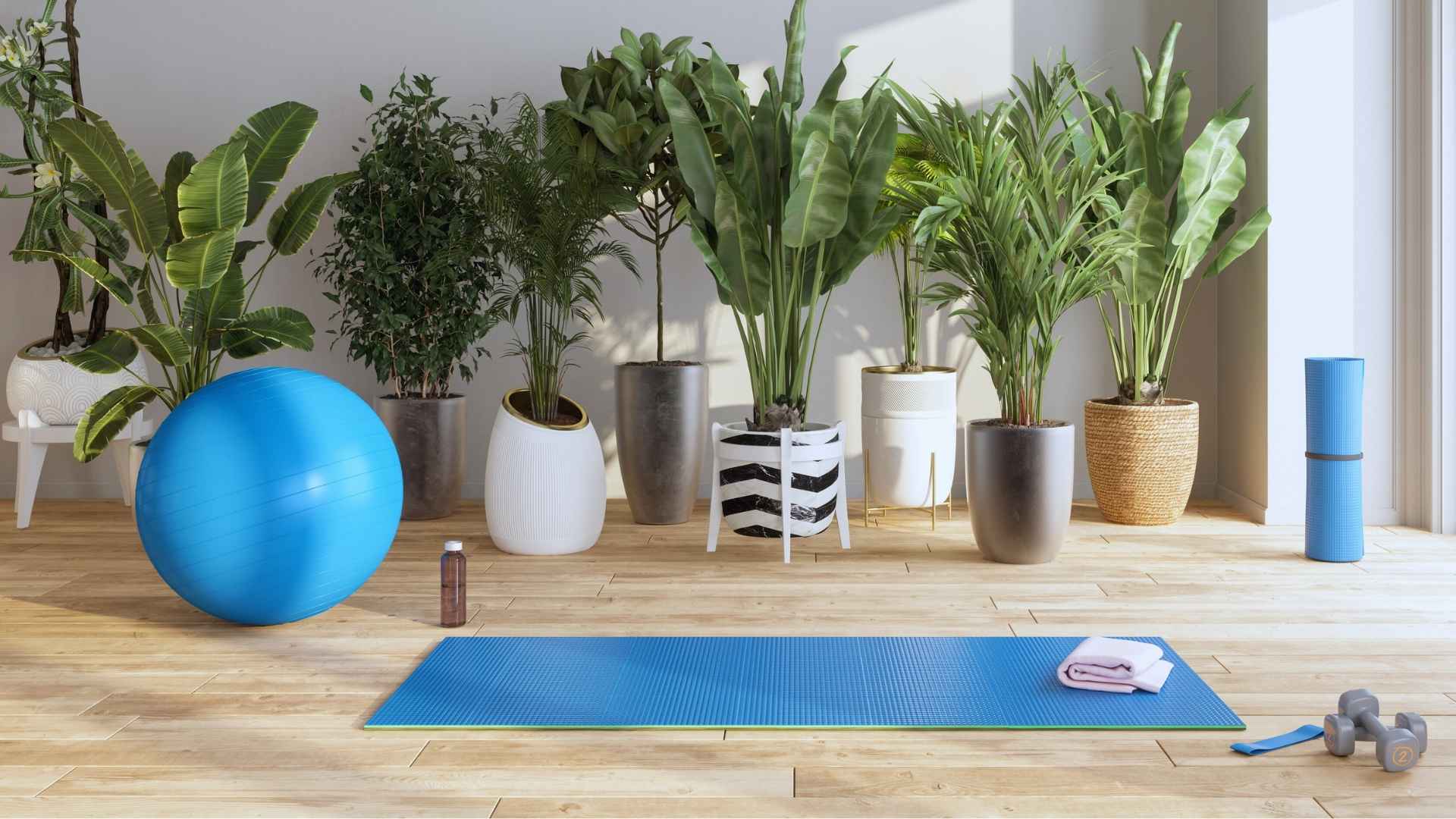 Evde Yoga Alanı Oluşturma Rehberi: Huzurlu Bir Köşe