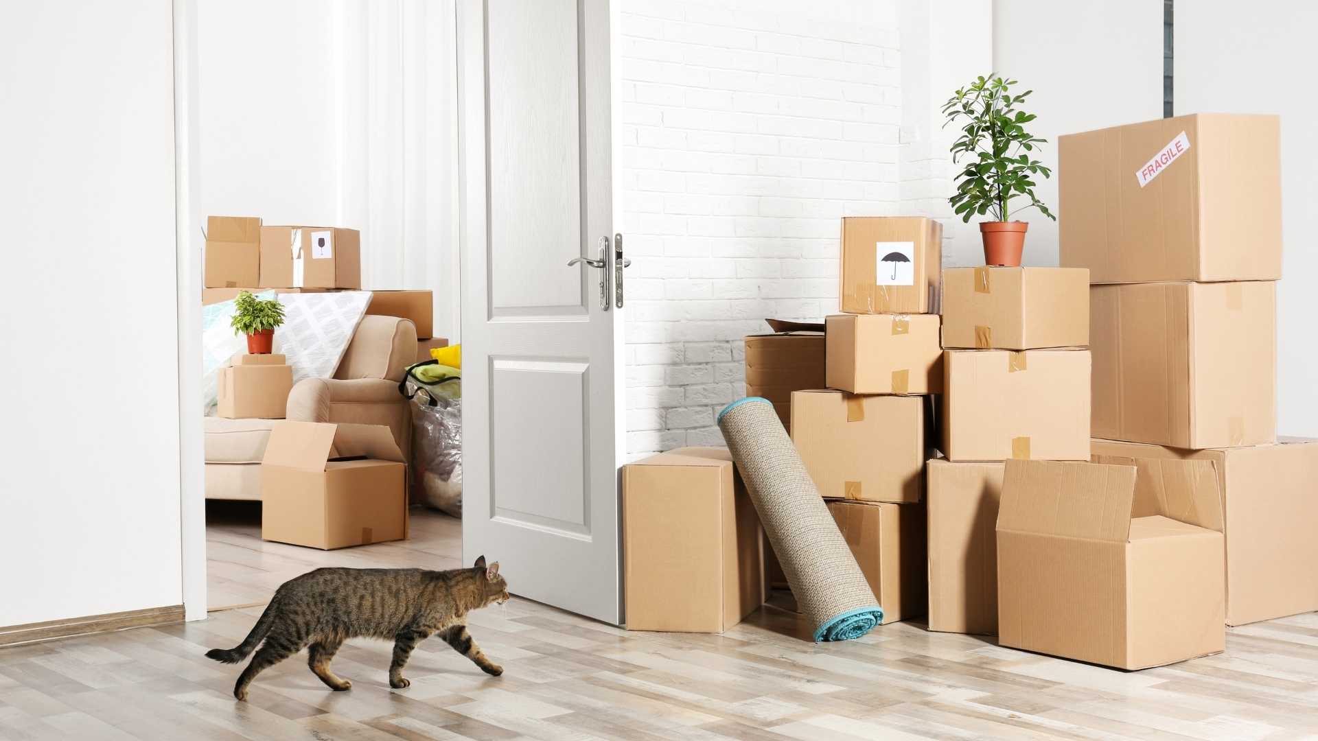 Uzun Süreli Depolama için Önemli İpuçları